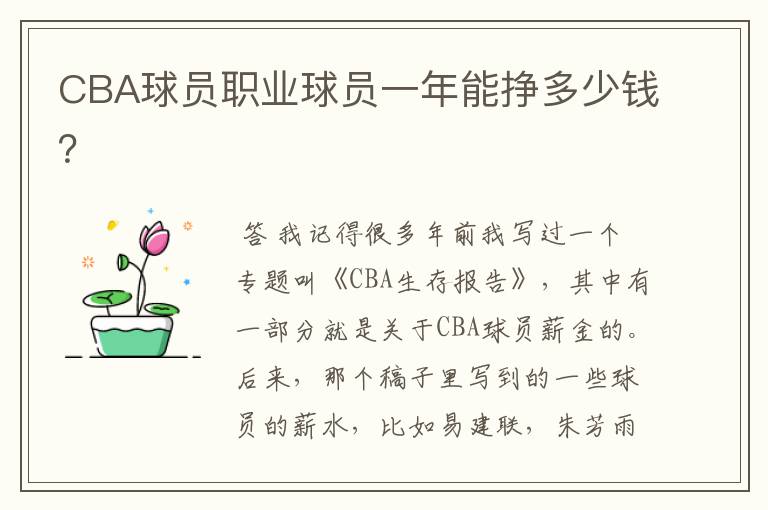 CBA球员职业球员一年能挣多少钱？