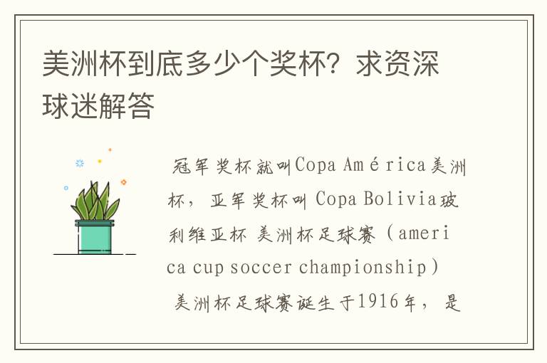 美洲杯到底多少个奖杯?求资深球迷解答