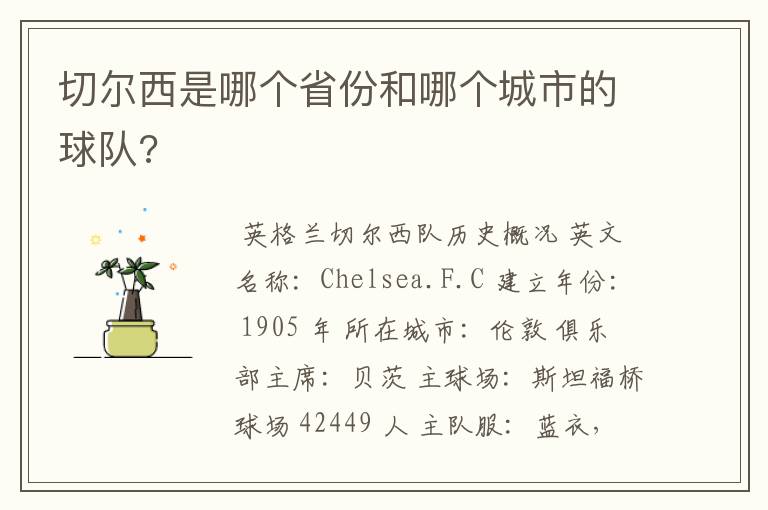 切尔西是哪个省份和哪个城市的球队?