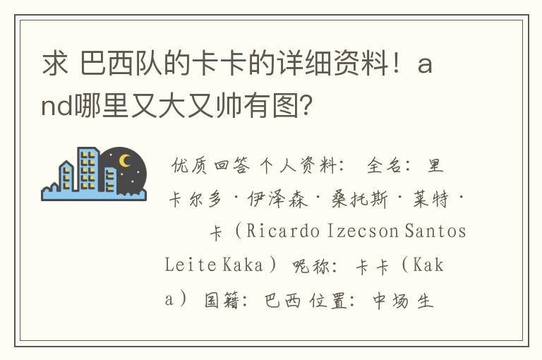 求 巴西队的卡卡的详细资料!and哪里又大又帅有图?
