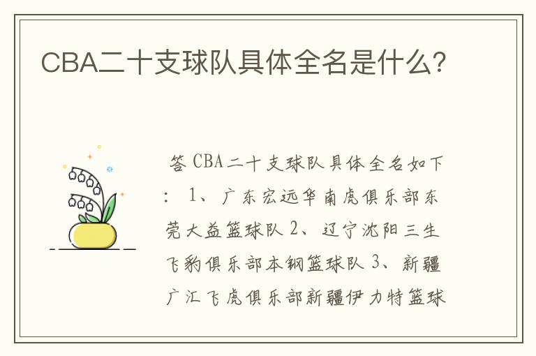 CBA二十支球队具体全名是什么?