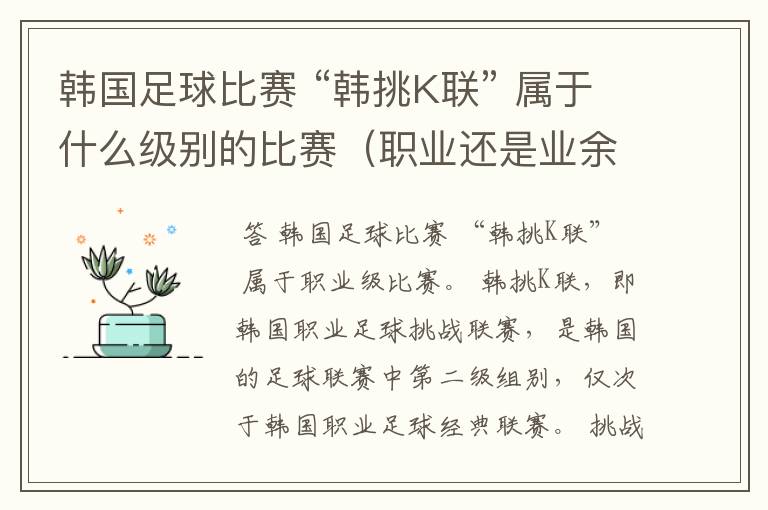 韩国足球比赛 “韩挑K联” 属于什么级别的比赛(职业还是业余)?