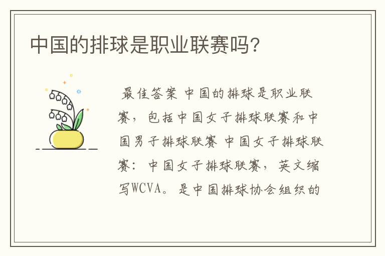 中国的排球是职业联赛吗?
