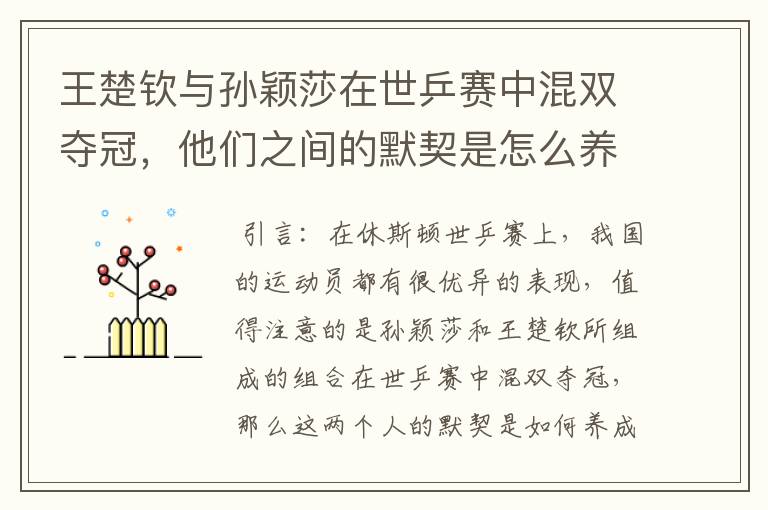王楚钦与孙颖莎在世乒赛中混双夺冠,他们之间的默契是怎么养成的?