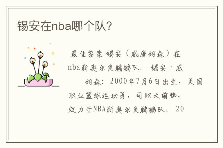 锡安在nba哪个队?