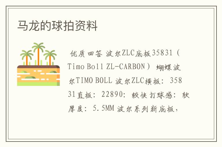 马龙的球拍资料