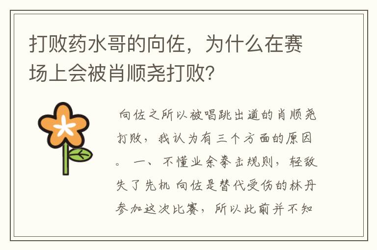 打败药水哥的向佐,为什么在赛场上会被肖顺尧打败?
