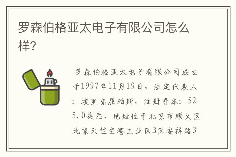 罗森伯格亚太电子有限公司怎么样?