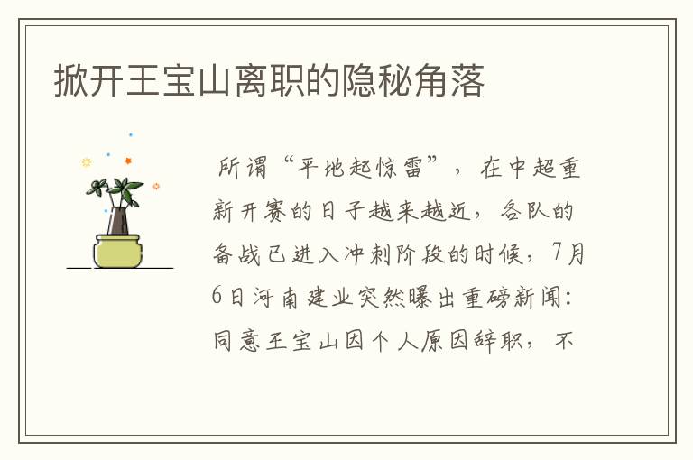 掀开王宝山离职的隐秘角落