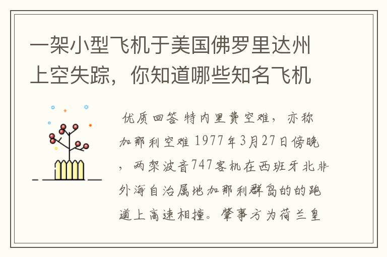 一架小型飞机于美国佛罗里达州上空失踪,你知道哪些知名飞机失事事件?