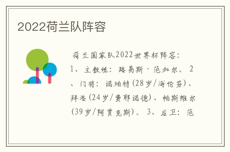 2022荷兰队阵容