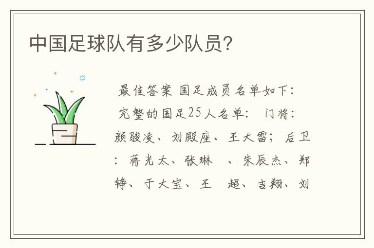 中国足球队有多少队员?