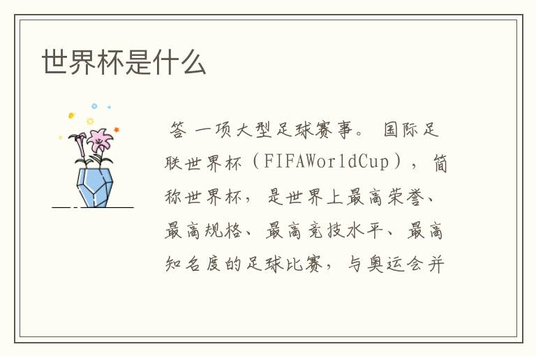 世界杯是什么