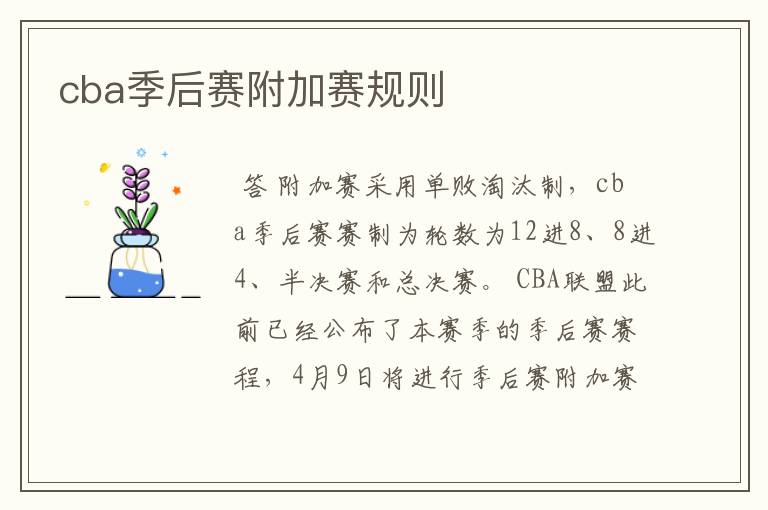 cba季后赛附加赛规则