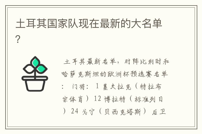 土耳其国家队现在最新的大名单?
