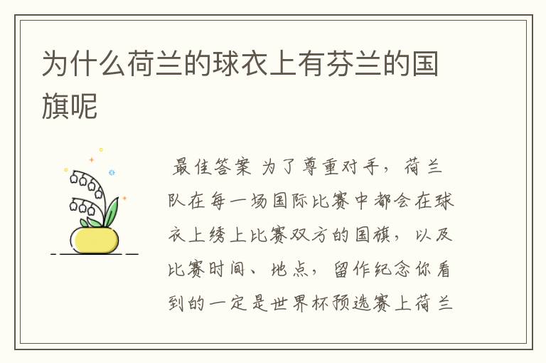 为什么荷兰的球衣上有芬兰的国旗呢