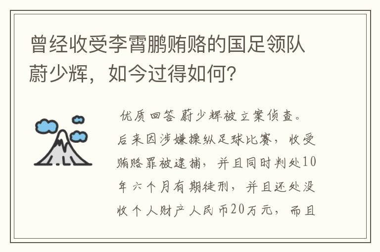 曾经收受李霄鹏贿赂的国足领队蔚少辉,如今过得如何?