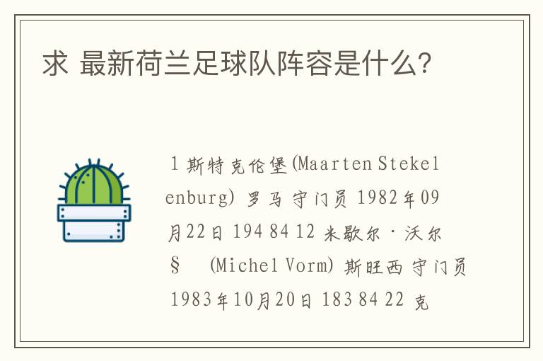 求 最新荷兰足球队阵容是什么?