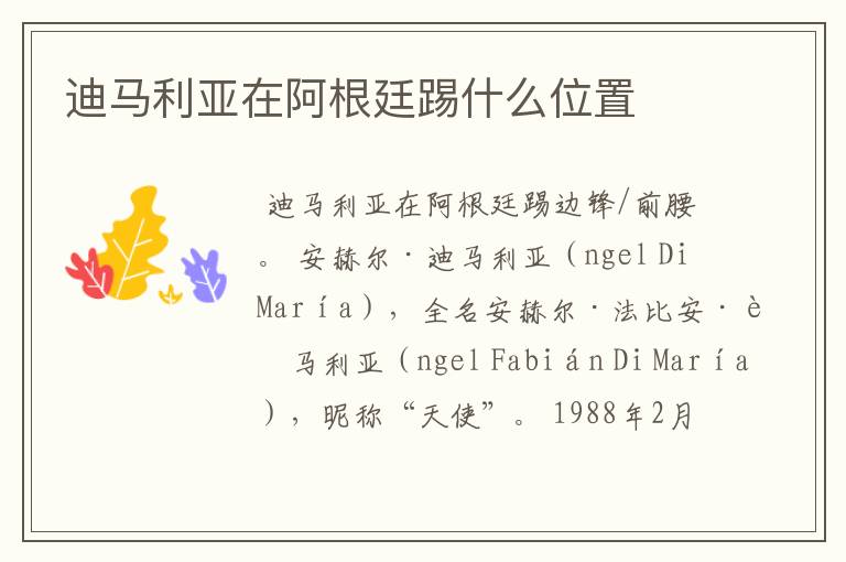 迪马利亚在阿根廷踢什么位置