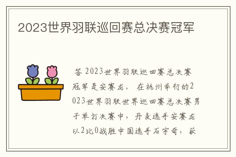 2023世界羽联巡回赛总决赛冠军