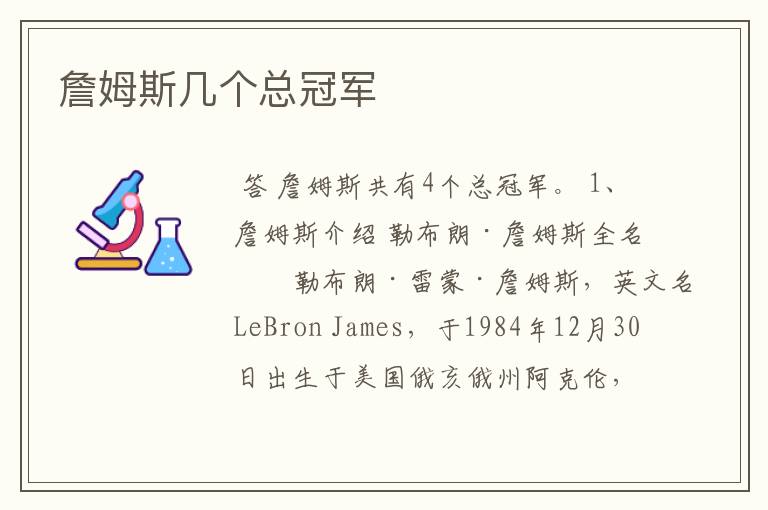 詹姆斯几个总冠军