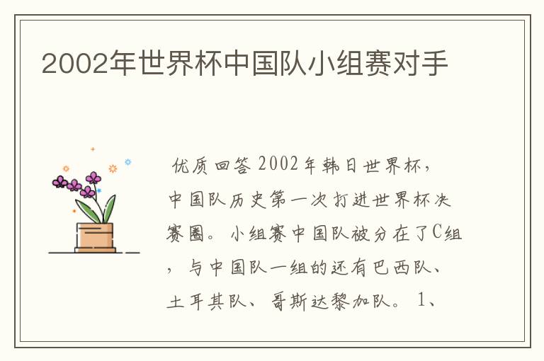2002年世界杯中国队小组赛对手