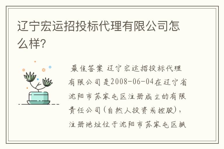 辽宁宏运招投标代理有限公司怎么样?