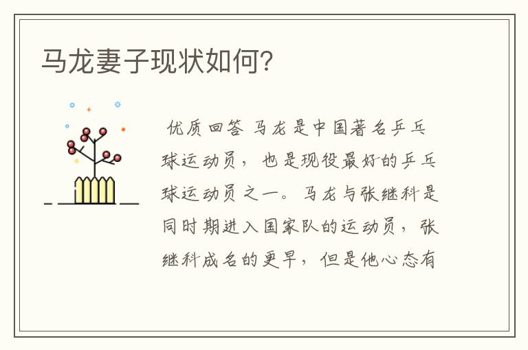 马龙妻子现状如何?