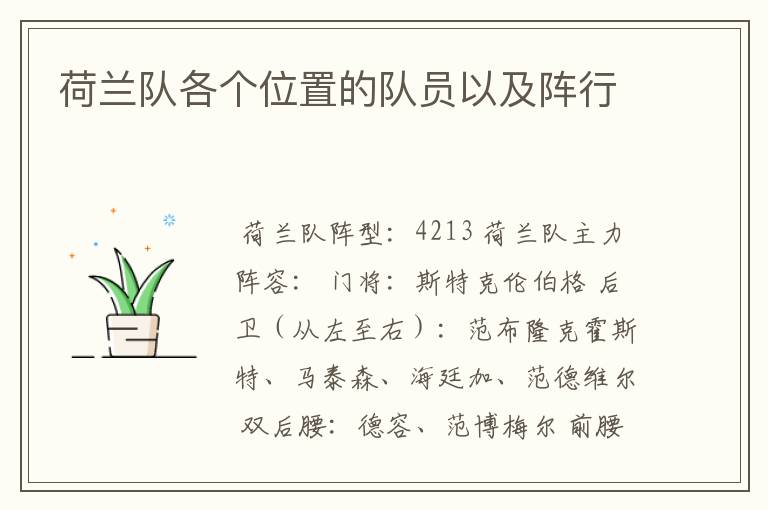 荷兰队各个位置的队员以及阵行