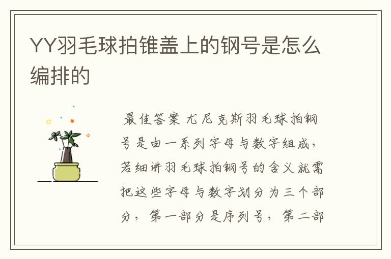 YY羽毛球拍锥盖上的钢号是怎么编排的