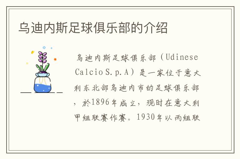 乌迪内斯足球俱乐部的介绍