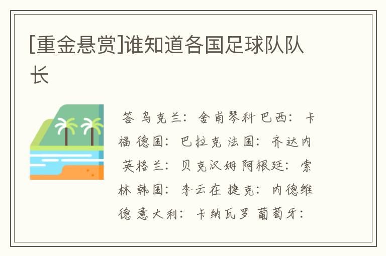 [重金悬赏]谁知道各国足球队队长