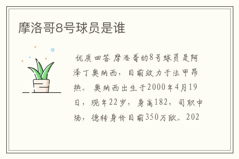 摩洛哥8号球员是谁