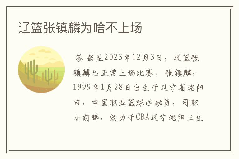 辽篮张镇麟为啥不上场