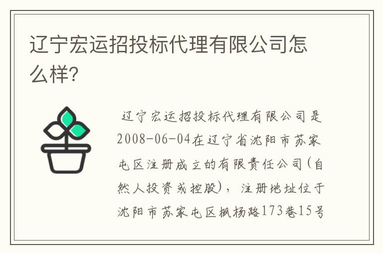 辽宁宏运招投标代理有限公司怎么样?