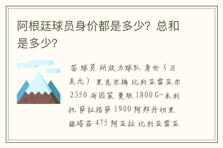 阿根廷球员身价都是多少?总和是多少?