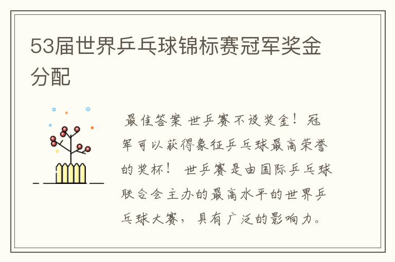 53届世界乒乓球锦标赛冠军奖金分配