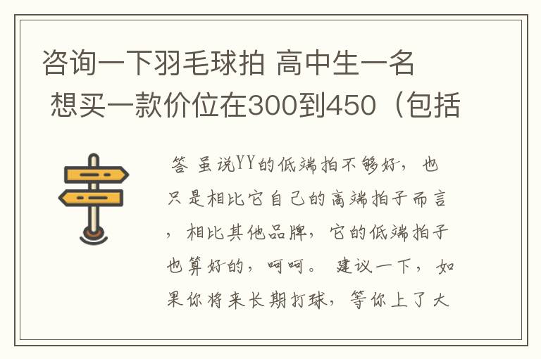 咨询一下羽毛球拍 高中生一名  想买一款价位在300到450（包括拍线和手胶.