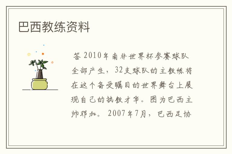 巴西教练资料