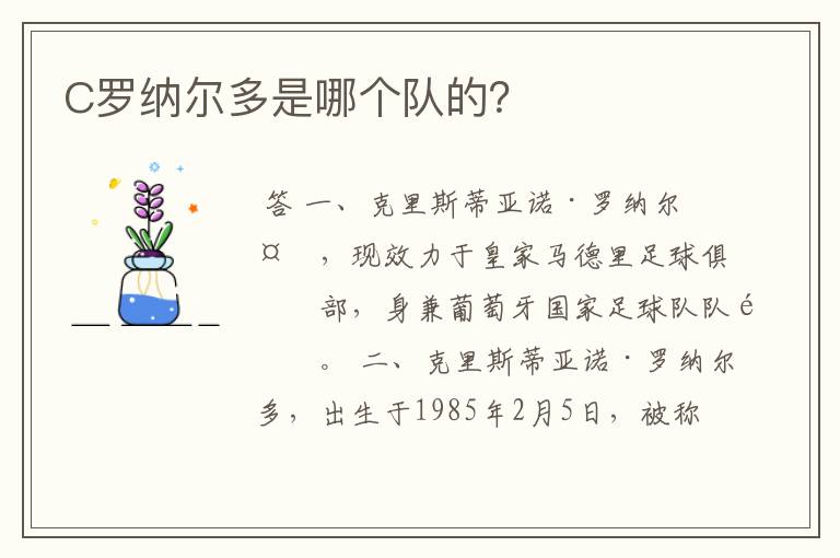 C罗纳尔多是哪个队的?