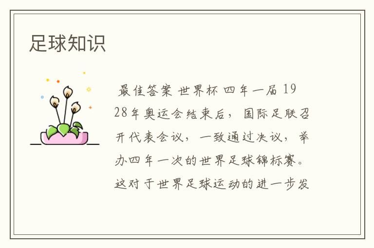 足球知识