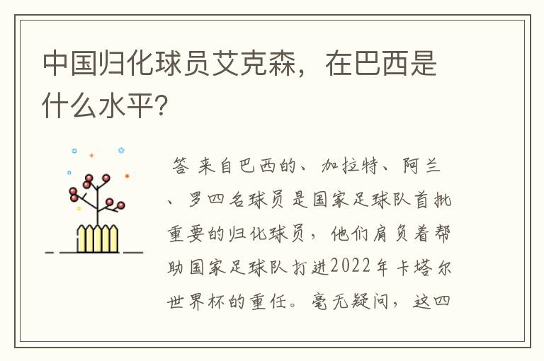 中国归化球员艾克森,在巴西是什么水平?