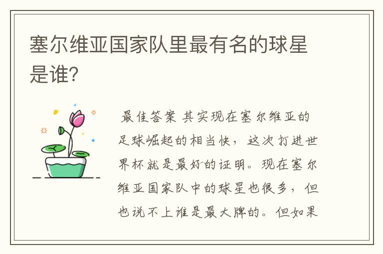 塞尔维亚国家队里最有名的球星是谁?