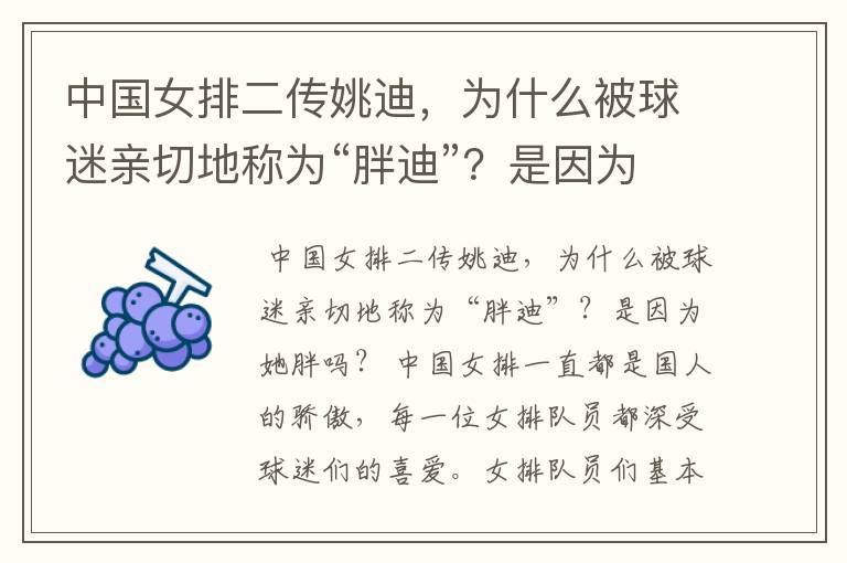 中国女排二传姚迪,为什么被球迷亲切地称为“胖迪”?是因为她胖吗