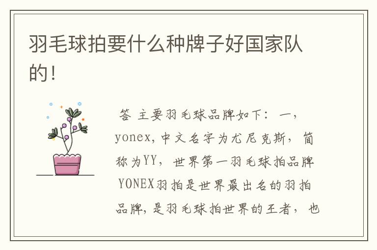 羽毛球拍要什么种牌子好国家队的!