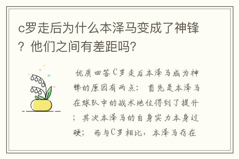 c罗走后为什么本泽马变成了神锋?他们之间有差距吗?