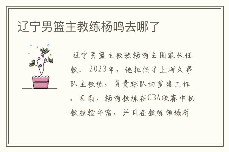 辽宁男篮主教练杨鸣去哪了