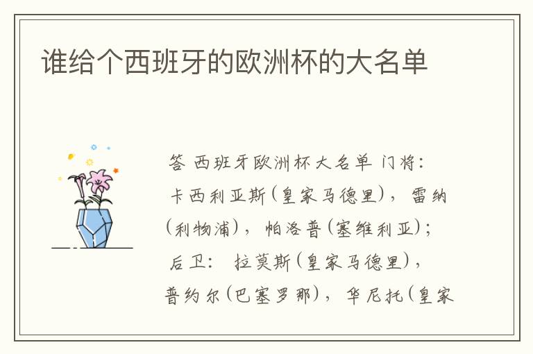 谁给个西班牙的欧洲杯的大名单