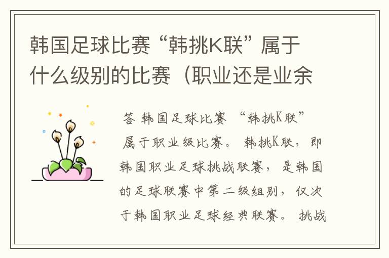 韩国足球比赛 “韩挑K联” 属于什么级别的比赛(职业还是业余)?