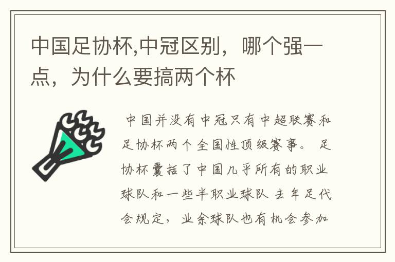 中国足协杯,中冠区别,哪个强一点,为什么要搞两个杯